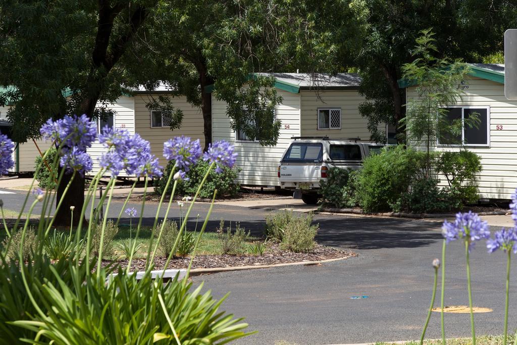 Nrma Dubbo Holiday Park Hotell Rom bilde